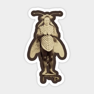 Cicada Stan 2 Sticker